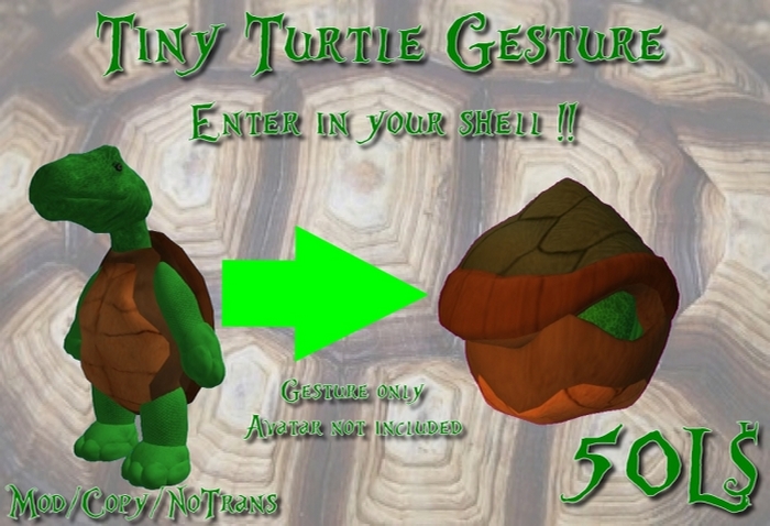 Tiny Turtle Gesture