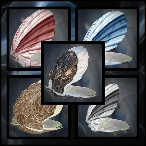 SHELL SCULPT BOX 02