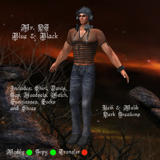 Mr. DJ Blue & Black