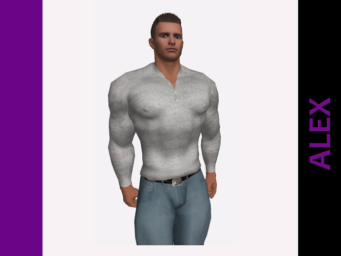 Alex in Casual Clothes -- Male Mesh Avatar