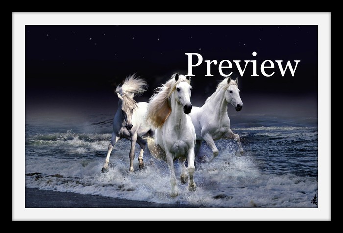 Wild Horses~Bluemoon Gallery~ (scripted - resize and brightness/with shadow) 