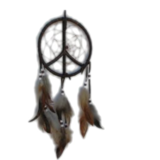 Dream Catcher 4