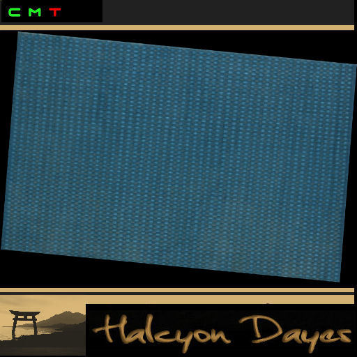 Area Rug - Teal 4