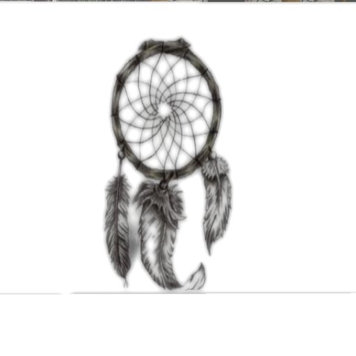 Dream Catcher 6