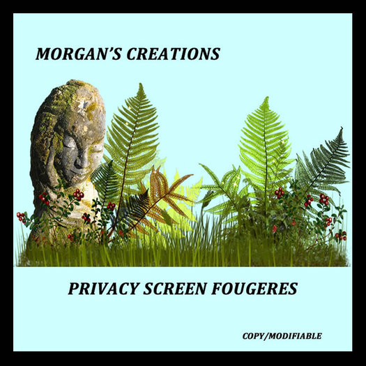 SCREEN/ECRAN FOUGERES