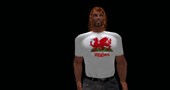 Welsh Draig 2 Tee Shirt