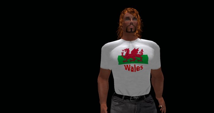 Welsh Draig 1 Tee Shirt