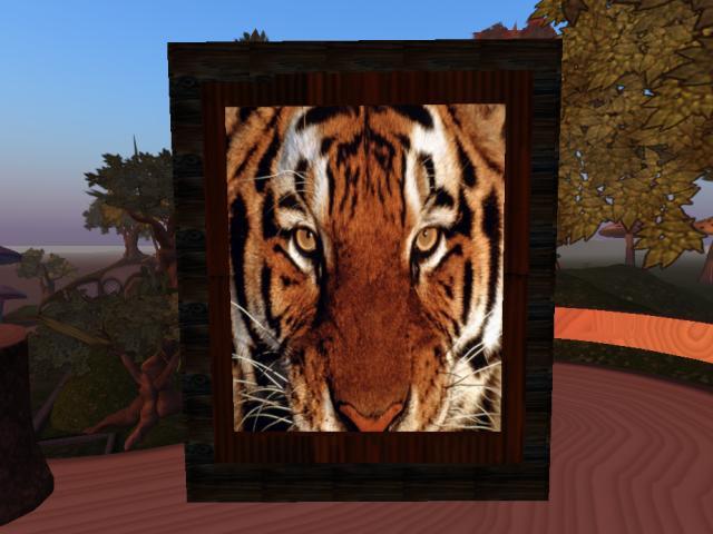 Tiger Framed picture