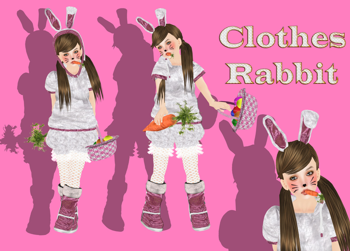 Clothes Rabbit