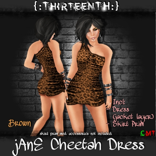 {ThirteenTH:} jaNe Cheetah Dress_Brown