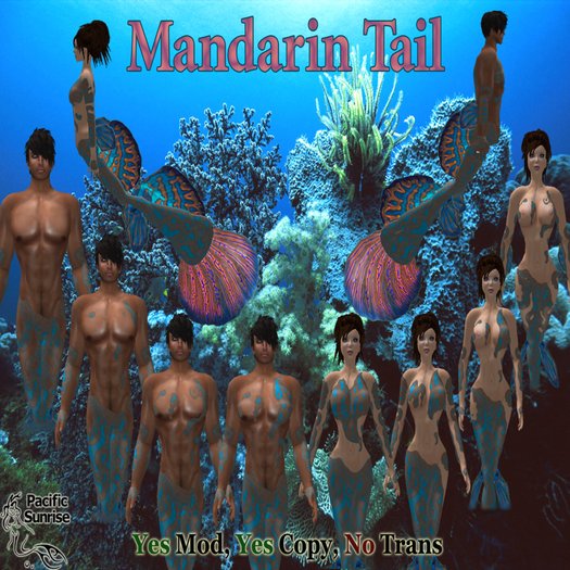 (PS) Mandarin Tail