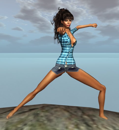 Wushu Stance (Boxed)