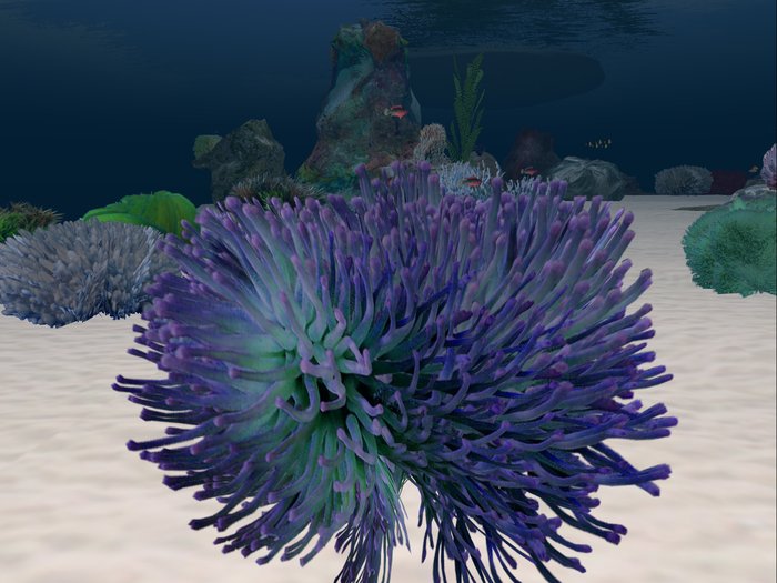Underwater plant 10, one sculpted prim.
