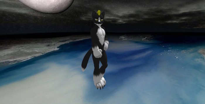 Freebie Kitty Black Male
