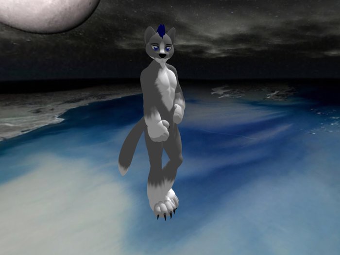Freebie Kitty Grey Male