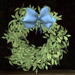 Olive%20branch%20wreath%20%5b700%5d