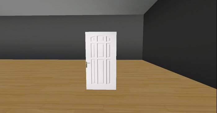 DCE  White Door Type 10