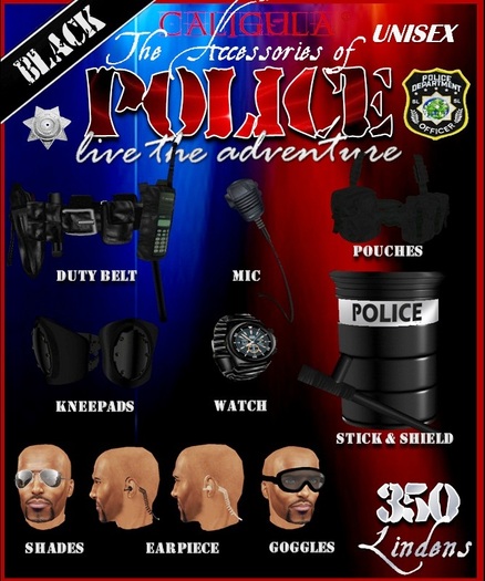 POLICE ACCESSORIES