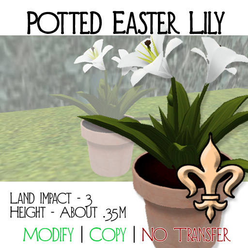 [FdL] Potted Easter Lily