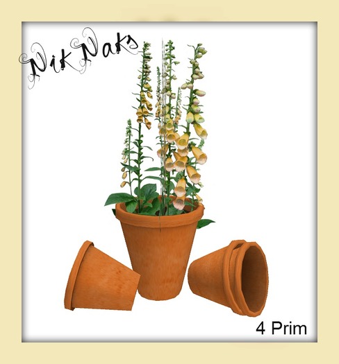 Yellow Fox Glove Plant