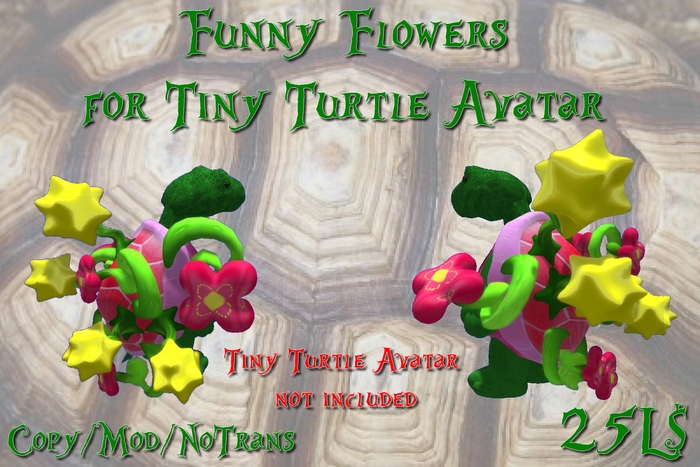 Flowers for Turtle