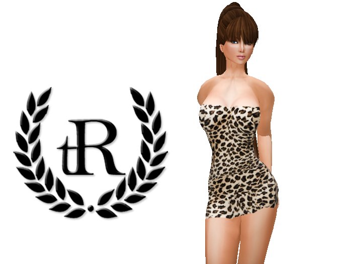 The Rove - leopard dress 1