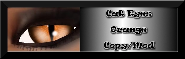 Cat Eyes - Orange