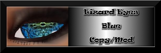 Lizard Eyes - Blue