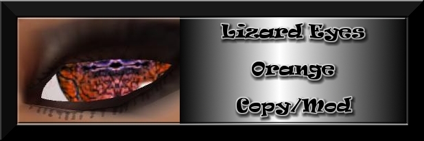 Lizard Eyes - Orange