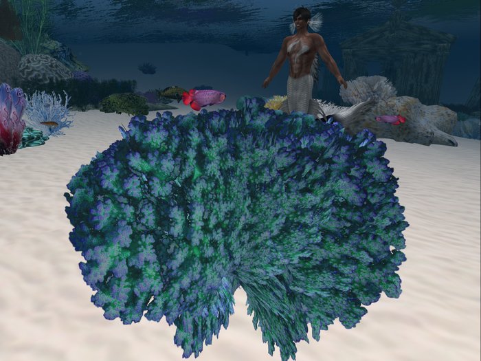 Ocean Coral Blue, 1 multiface LOD prim.