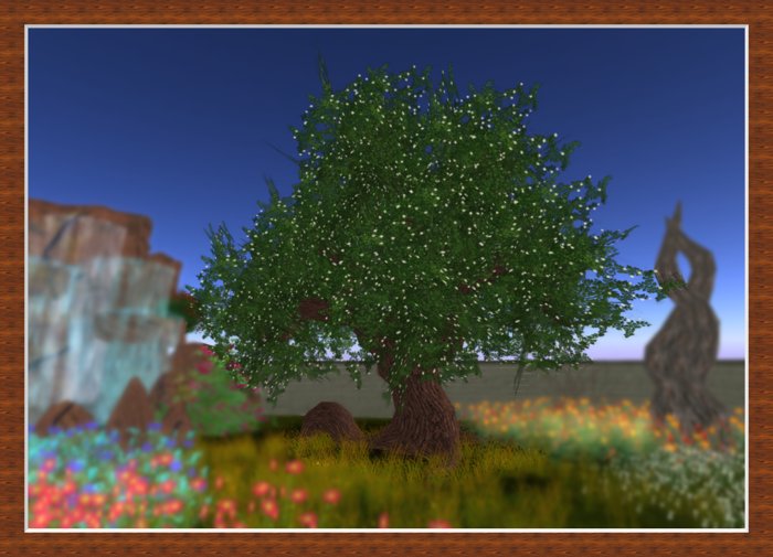 white summer blossom tree *otm*