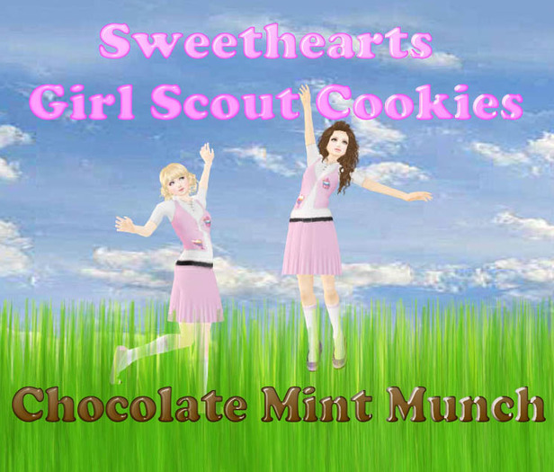 Chocolate Mint Munch Girl Scout Cookies