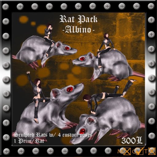 Ratpack Albino -boxed-