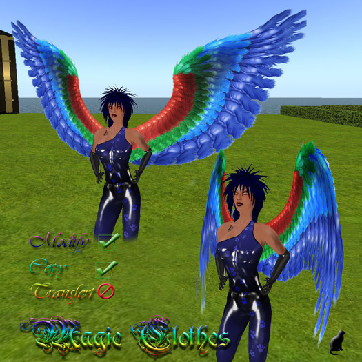 magic clothes colors wings