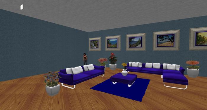Dark Blue Shag Carpet