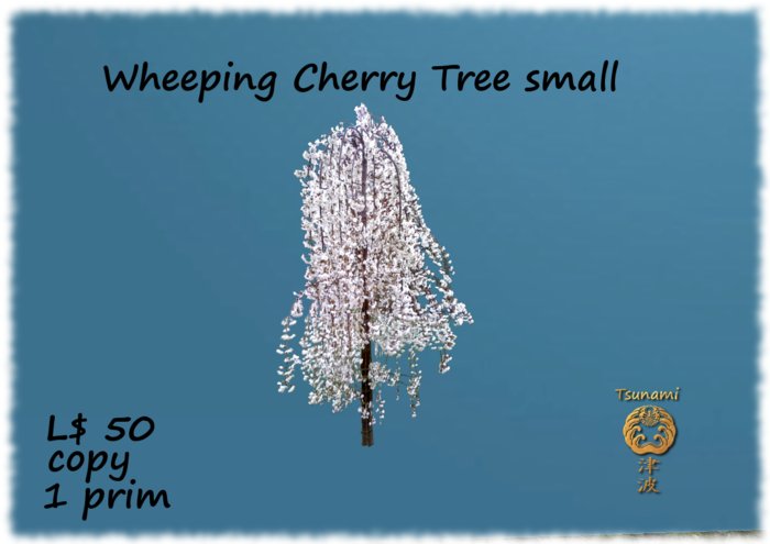 Weeping Cherry Tree small