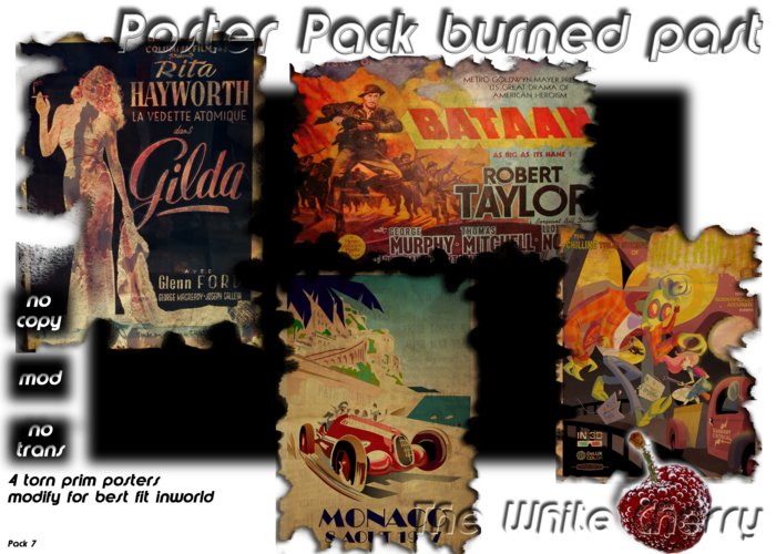[TWC] Poster Burned Past - Pack 7 (boxed)