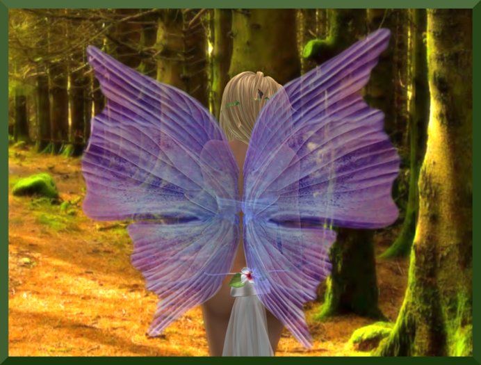 [MEADOWFAE PURPLE]  WINGS