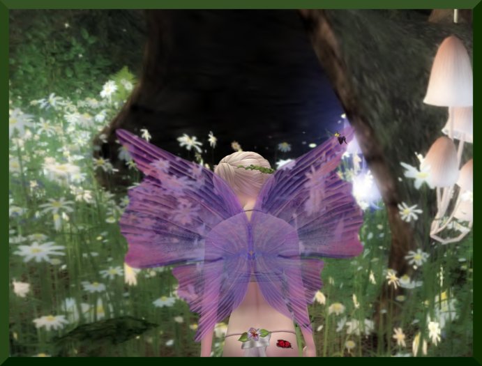 [MEADOWFAE PURPLE] [PETITE] WINGS