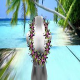 Lei Afro (WEAR)rsize SALE