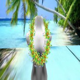 Lei Afro (WEAR)rsize SALE