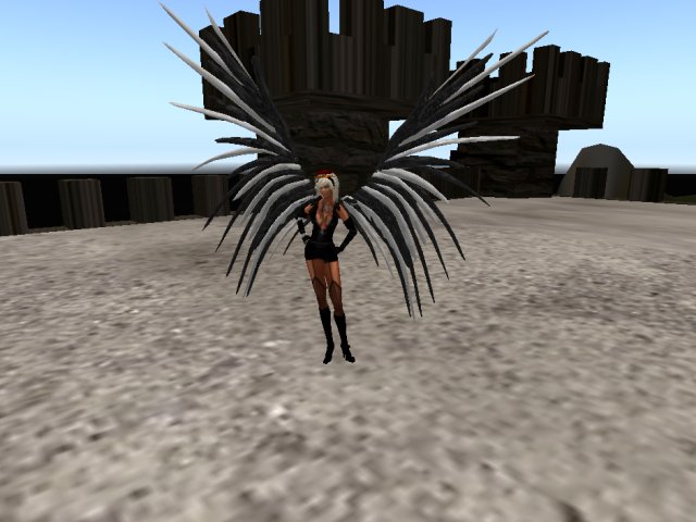 **THE WING** BOXED black and white