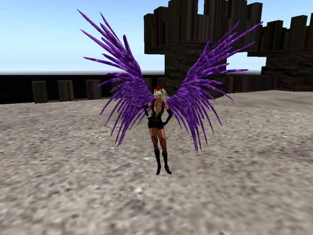 **THE WING** BOXED  purple