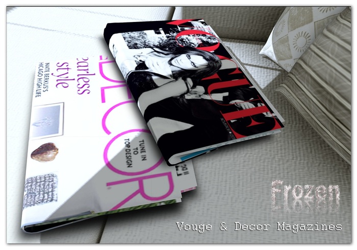 Frozen Vouge Decor Folded Magazines 