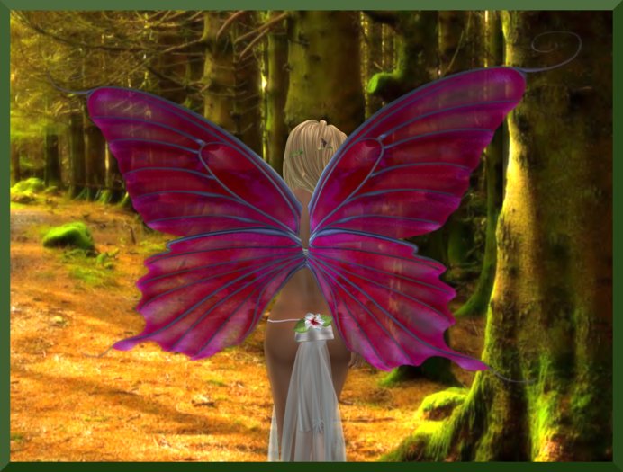 [BUTTERFLY PINK]  WINGS