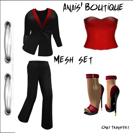 Anais' Mesh Ladies Business Suit Set black