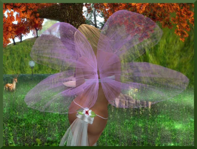 [DELICATE LAVENDER] WINGS