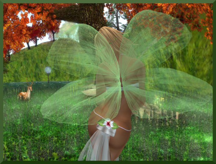 [DELICATE GREEN] [PETITE] WINGS