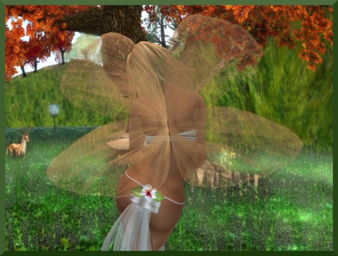 [DELICATE AMBER] [PETITE] WINGS