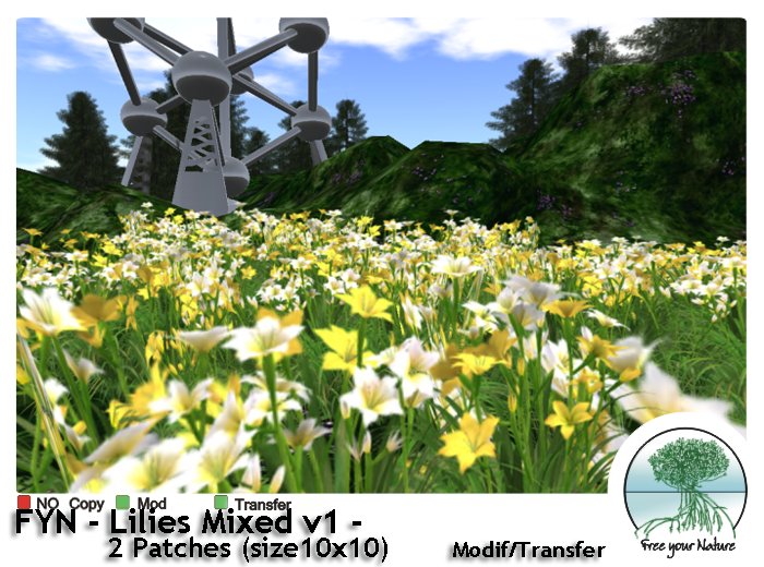 FYN Box lilies Mixed v1